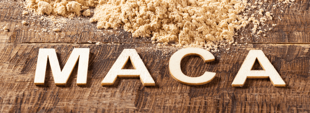 5 Reasons Why You Should Try Maca Today - Orgen Nutraceuticals