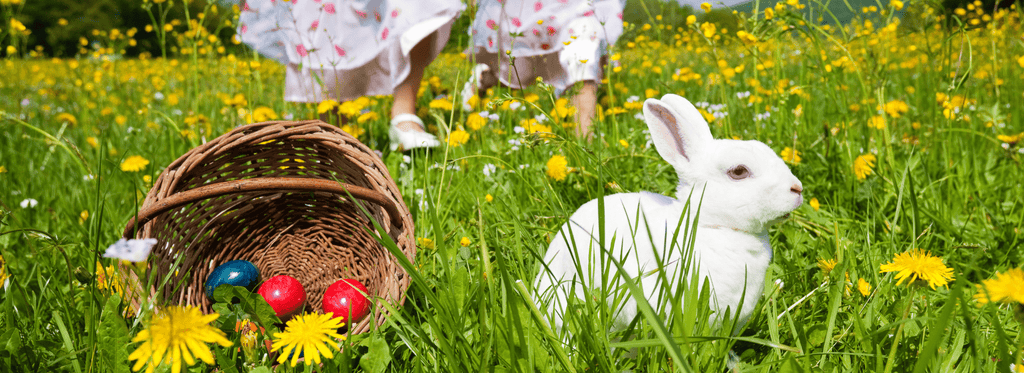 5 Fun Ideas to Celebrate Easter Weekend - Orgen Nutraceuticals