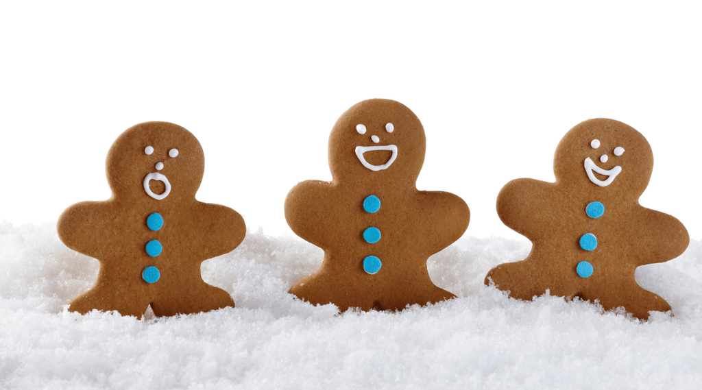 Gingerbread Cookies with Ashwagandha - Orgen Nutraceuticals